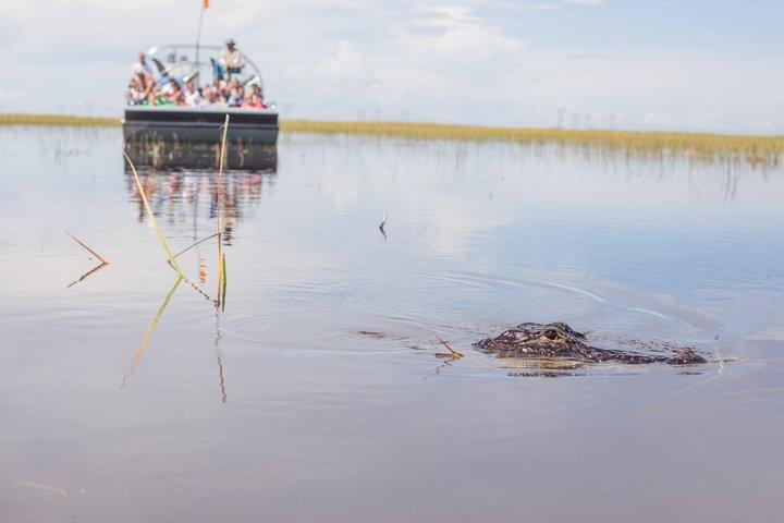 Everglades Airboat, Wildlife Exhibition, e ônibus de ida e volta de Miami