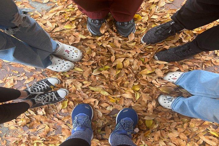 Glendale Scavenger Hunt Adventure