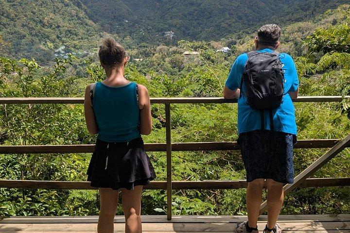Helt anpassad privat Saint Lucia Soufriere Land Experience