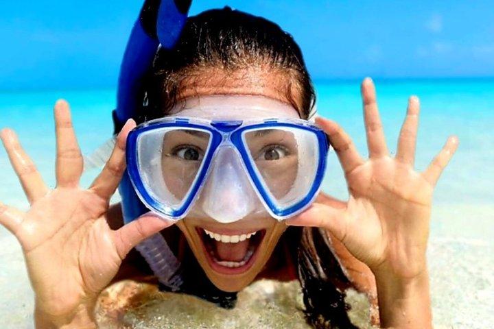 Oahu : Excursión de día completo a Circle Island | Parada de playa, WiFi gratuito & Beneficios