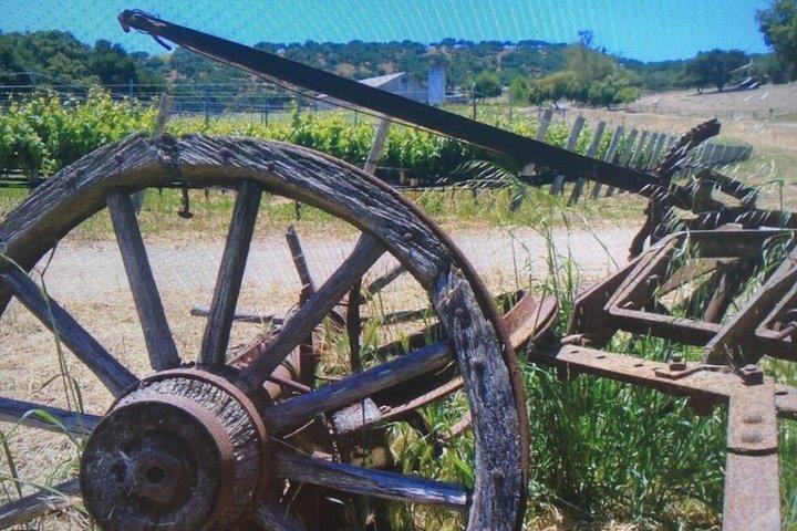 Wine Tours ( private ) 6 full hours .