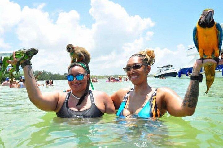 Hip hip Party Boat Experience con trasporto affidabile