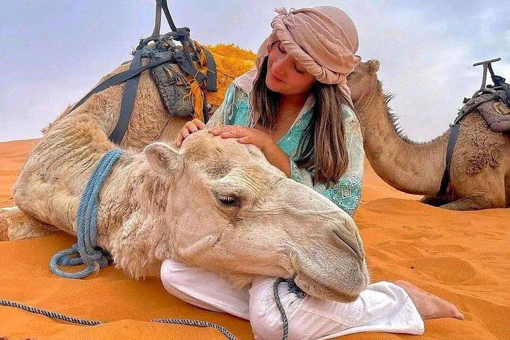 3-Day Desert Tour from Marrakech to Merzouga with Camel Trek