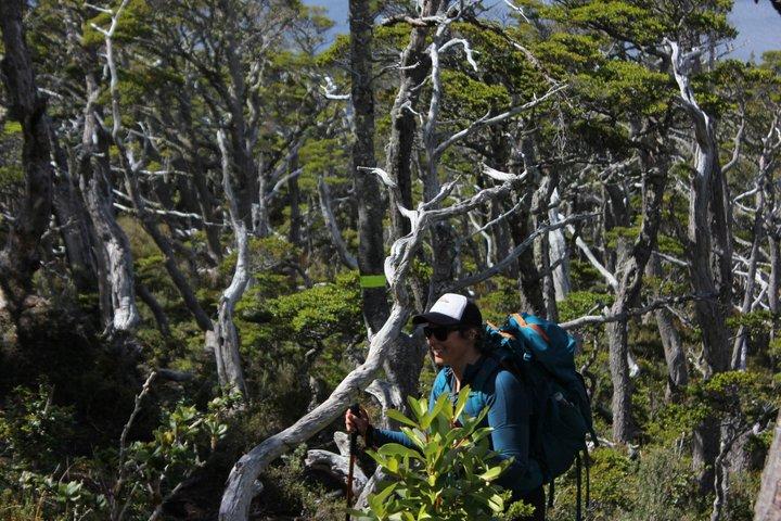 プライベートパタゴニアアンデス海から山頂まで終日ハイキング