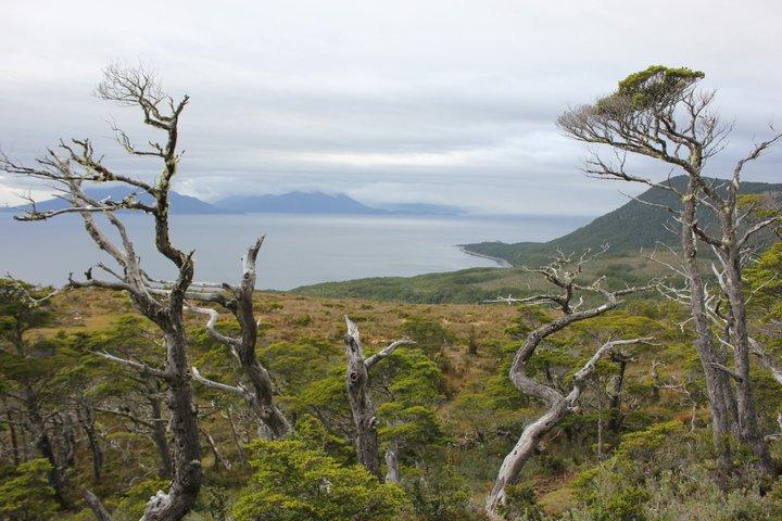 プライベートパタゴニアアンデス海から山頂まで終日ハイキング