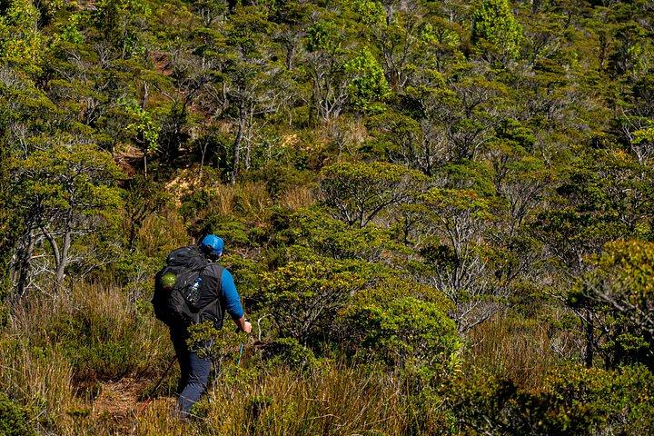 プライベートパタゴニアアンデス海から山頂まで終日ハイキング