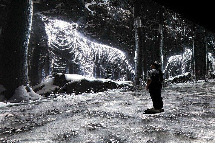 ドバイ・アルテ美術館:没入型メディアアート展
