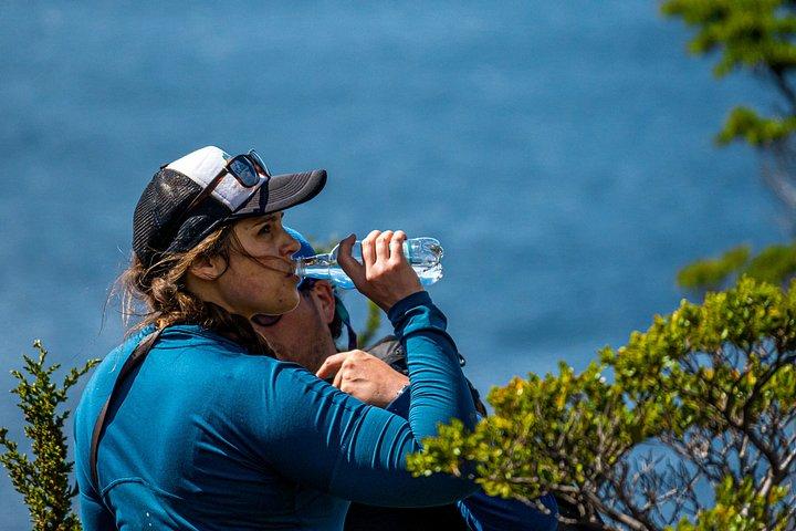 プライベートパタゴニアアンデス海から山頂まで終日ハイキング
