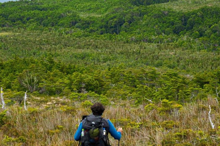 プライベートパタゴニアアンデス海から山頂まで終日ハイキング