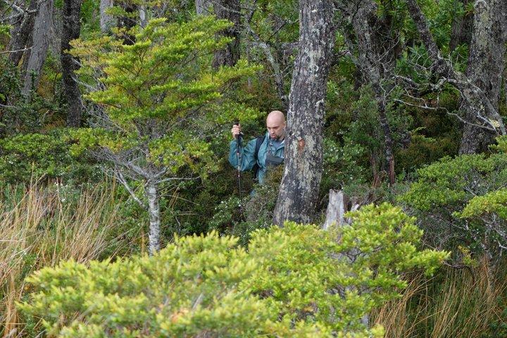 プライベートパタゴニアアンデス海から山頂まで終日ハイキング