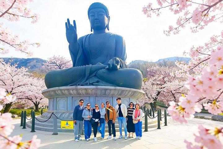 Da Seoul: Monte Seorak & Fiori di ciliegio & Foodie Tour