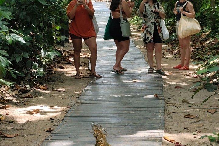 カフイタ自然散歩
