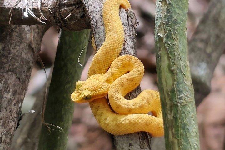 カフイタ自然散歩