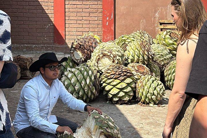 Authentic Mezcal Experience Oaxaca Small Group Local Producers