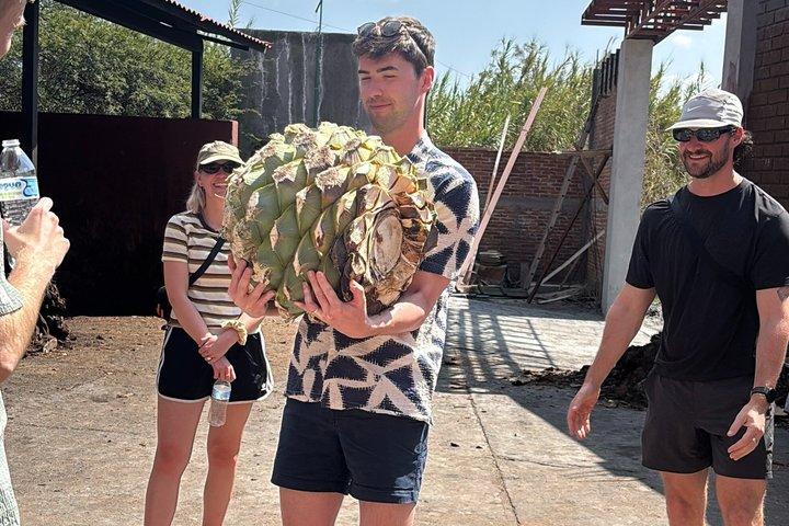 Authentic Mezcal Experience Oaxaca Small Group Local Producers