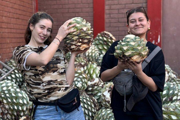 Authentic Mezcal Experience Oaxaca Small Group Local Producers