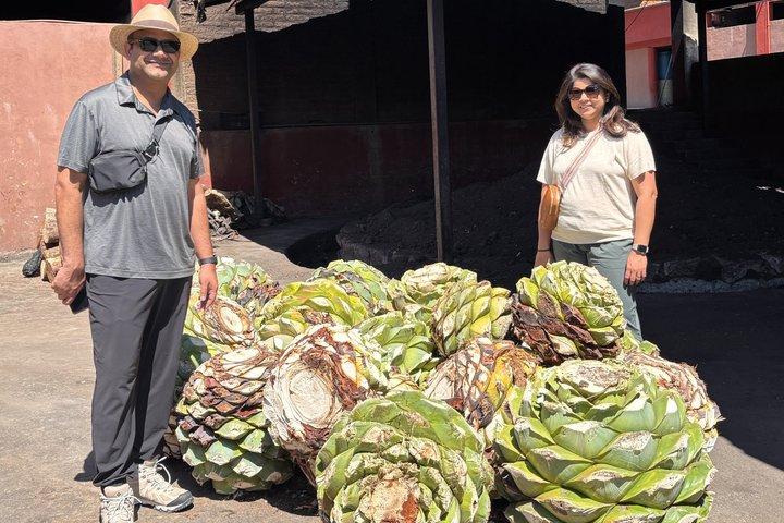 Authentic Mezcal Experience Oaxaca Small Group Local Producers