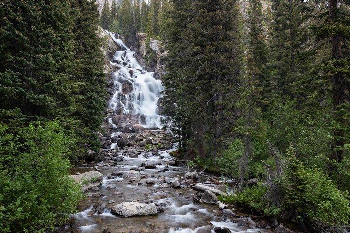 4-daagse Yellowstone- en Grand Teton-tour vanuit Salt Lake City