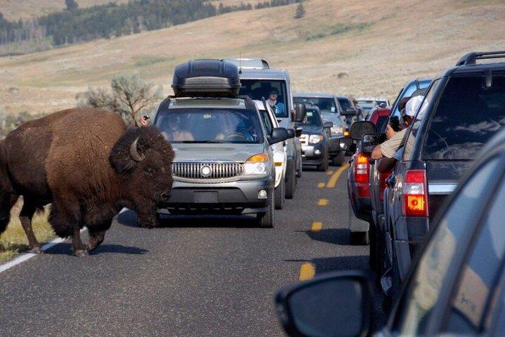 4-daagse Yellowstone- en Grand Teton-tour vanuit Salt Lake City