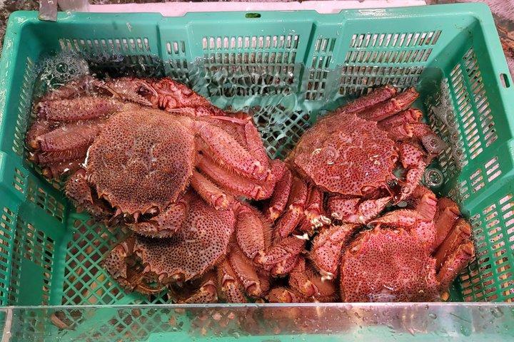 東京築地市場:伝統文化&屋台料理ツアー
