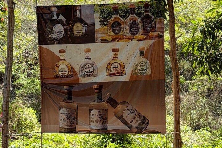 Half Day Tequila Distillery Tour