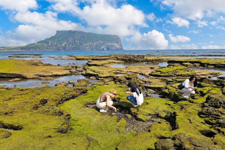 Jeju East Essentials – Seongsan Ilchulbong (UNESCO) och Haenyeo