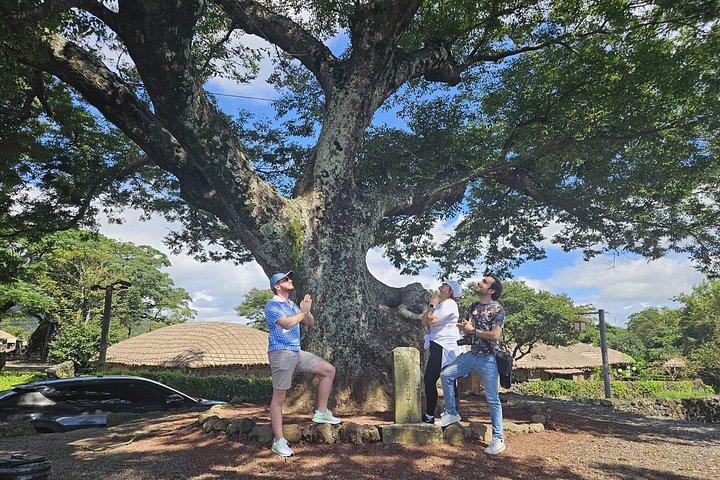 済州東部要塞-城山一喆峰(ユネスコ)&海燕