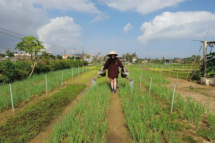 トラ・ケ村のプライベート料理教室とマーケットツアー