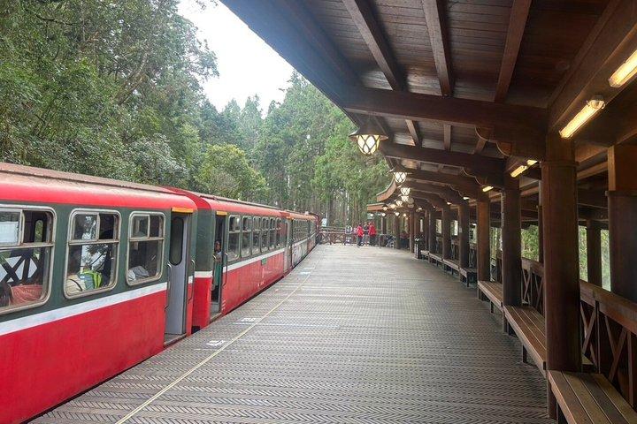Alishan Join-in Day Tour from Kaohsiung (Incl. Park Entrance)