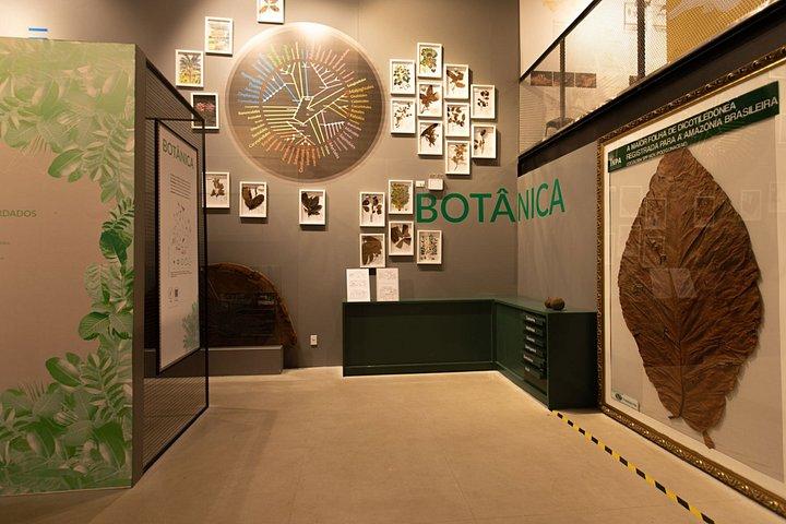 Private Tour in the Science Forest in Manaus