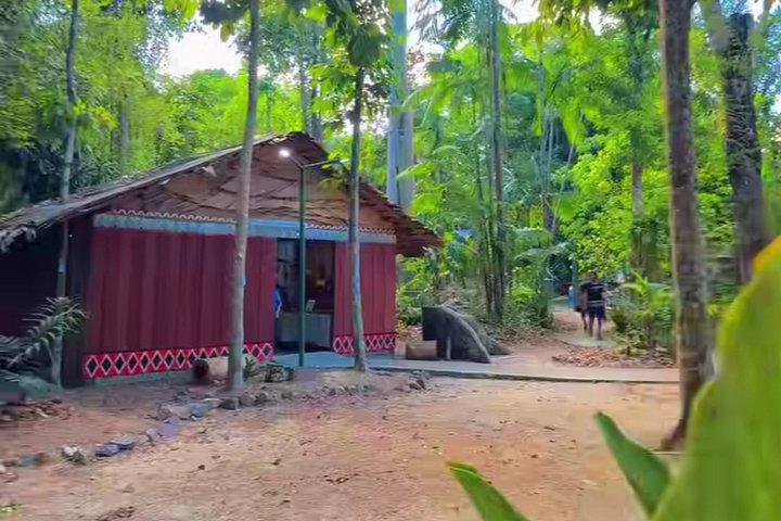Private Tour in the Science Forest in Manaus