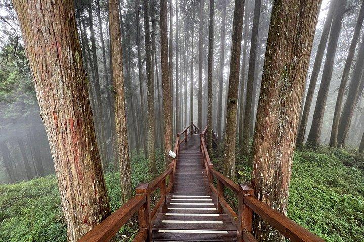 Alishan 2 Day Shared Tour saindo de Taipei