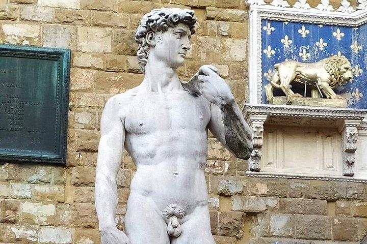 ローマからフィレンツェへのプライベート日帰り旅行：豪華な運転手サービス