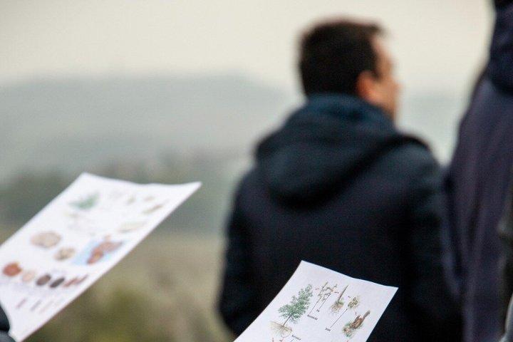 Tryffeljakt med vinprovning i Piemonte