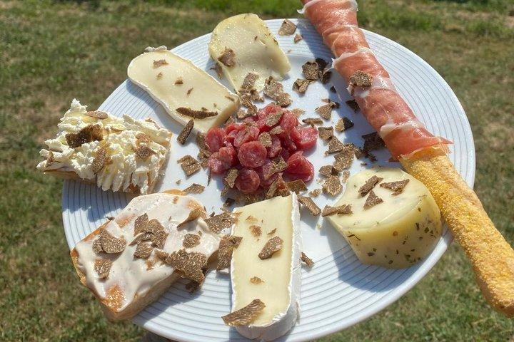 Tryffeljakt med vinprovning i Piemonte