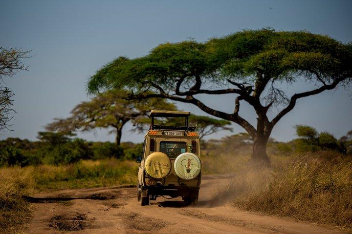 6-daagse privé kampeersafari in Tanzania vanaf de luchthaven Kilimanjaro