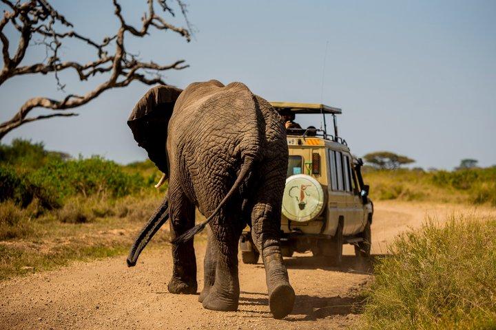 6-daagse privé kampeersafari in Tanzania vanaf de luchthaven Kilimanjaro