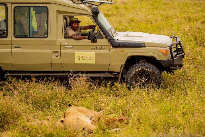 6-daagse privé kampeersafari in Tanzania vanaf de luchthaven Kilimanjaro