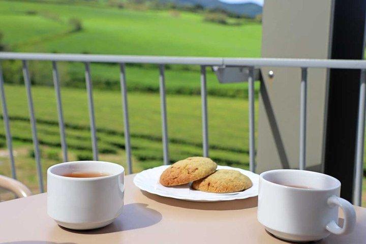 アゾレス：サンミゲル島全島プライベートツアーとランチ