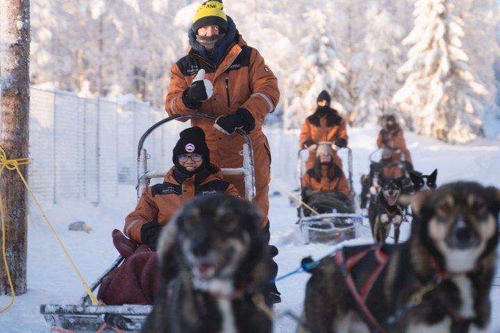 Aventure Nulkki Husky