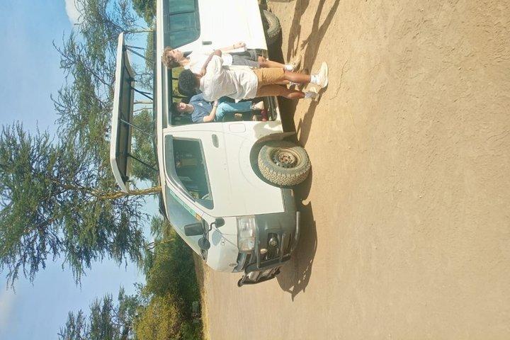 Excursion d'une demi-journée au parc national de Nairobi avec options