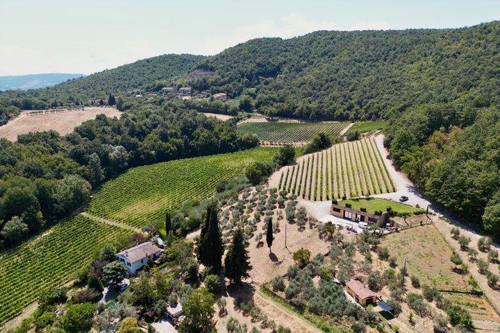 モンテプルチアーノ: ブドウ畑に囲まれてワインを飲みながらピクニック