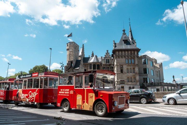 Entdecken Sie Antwerpen auf einzigartige Weise mit der Straßenbahn