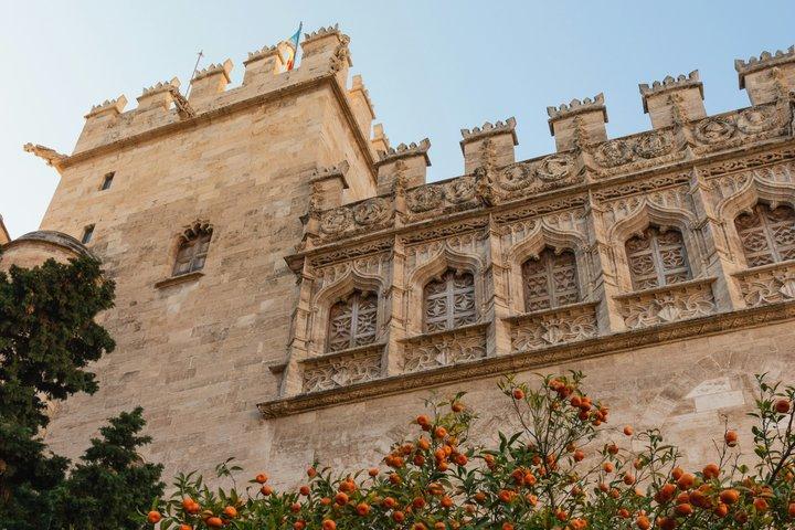 6 - Tour Privado en profundidad por la ciudad de Valencia con transporte privado