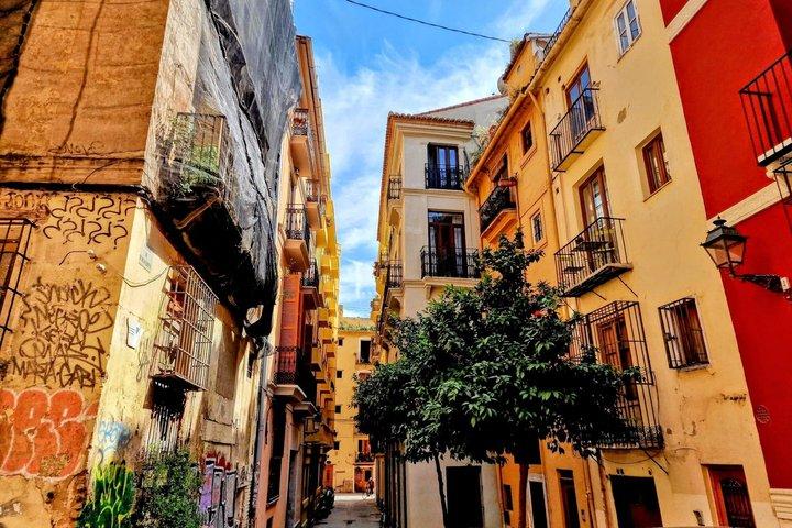 6 - Tour Privado en profundidad por la ciudad de Valencia con transporte privado