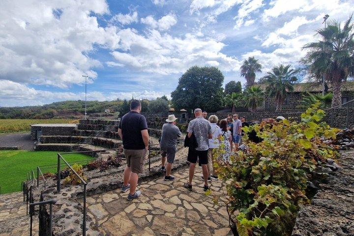 Taormina e l'Etna Wine Tasting Experience da Catania