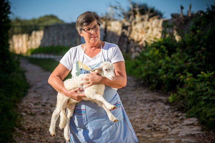 Menorca : Elaboración de quesos y degustación de productos frescos de granja