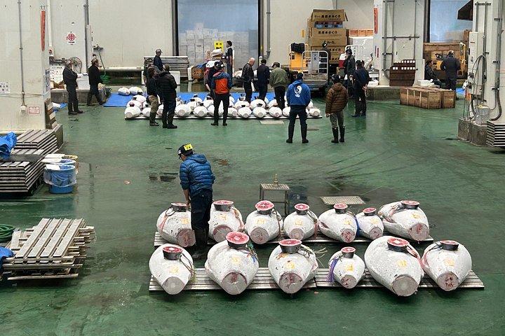 朝市アドベンチャー：豊洲・築地でまぐろオークション