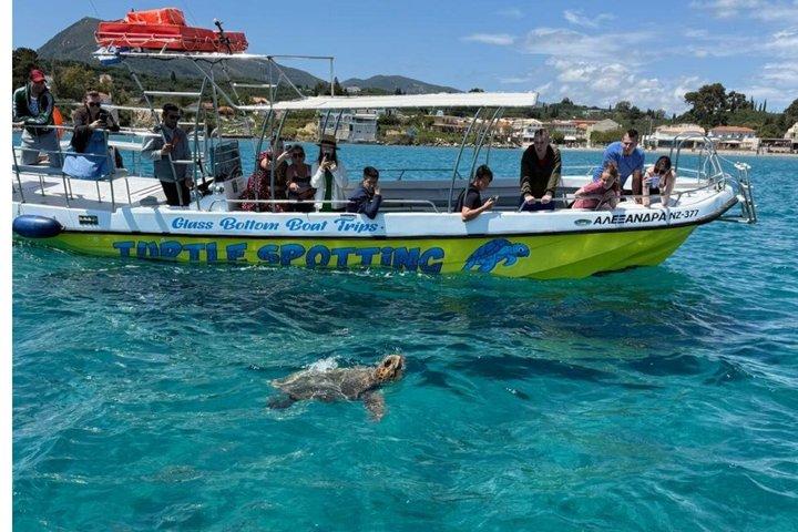 Garanti Tortue Spotting 3 Heures Zakynthos Nage et Grottes