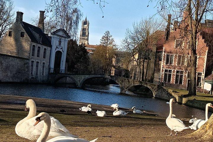 Walking Tour Bruges in German